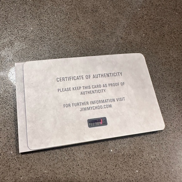 Jimmy Choo Silver Leather Bria 2way - Picture 13 of 14